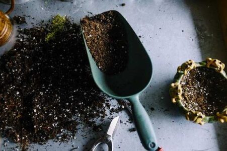 6 Sensational Gardening Hacks Image